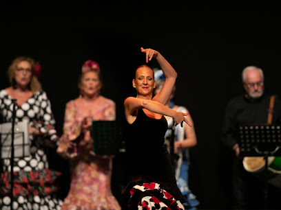Escuela de baile Andanzas: Pasión y ritmo en movimiento ¡Siente el ritmo en la Academia de Baile Luisa Piquer en Burriana!