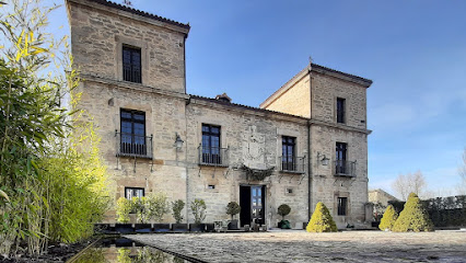 Escuela de baile Andanzas: Pasión y ritmo en movimiento ¡Baila como nunca en Mi Castillo de Arena