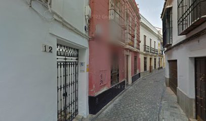 Escuela de baile Andanzas: Pasión y ritmo en movimiento ¡Descubre el arte de la danza oriental en Córdoba con Al-Nasir!