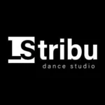Escuela de baile LS Tribu: pasión y ritmo en movimiento